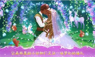 公主婚礼设计师截图0