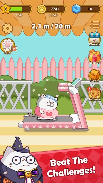 猫咪赛跑凯蒂冲刺截图1