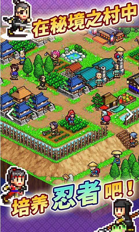 开罗合战忍者村  v1.06