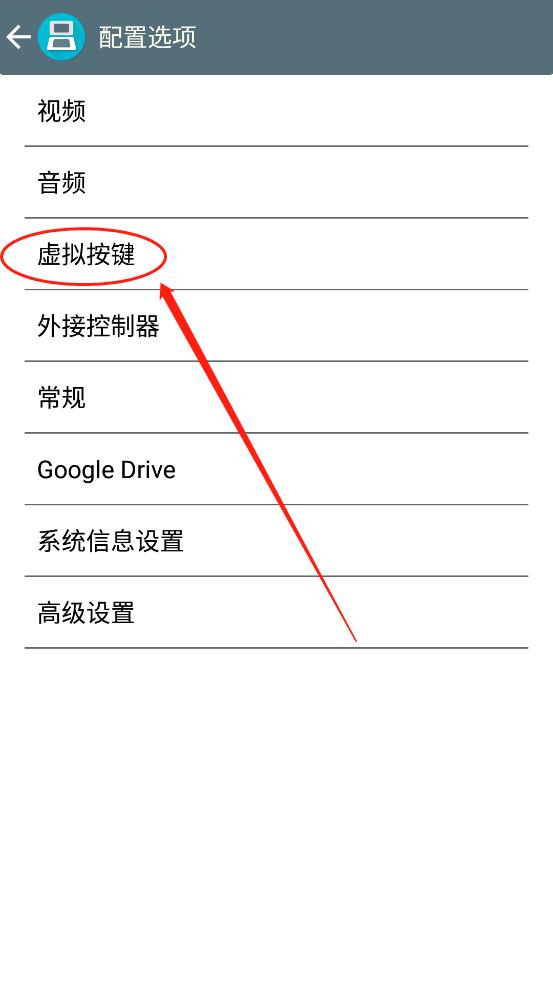 nds模拟器安卓版