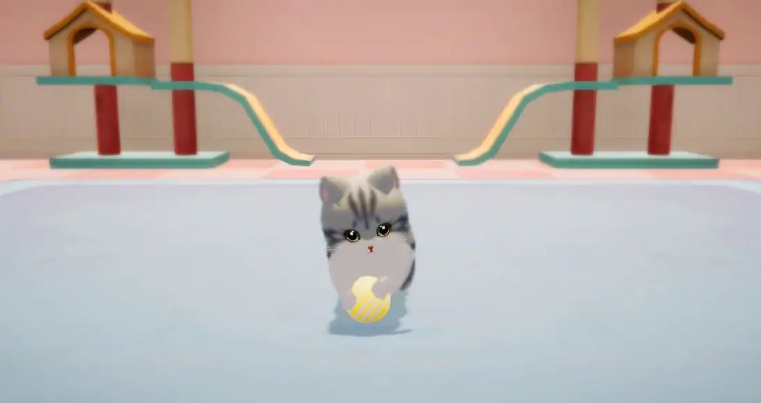 养了个猫截图0
