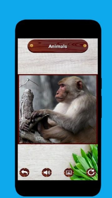 Animal Picture Making Puzzle(动物图片拼图)截图0