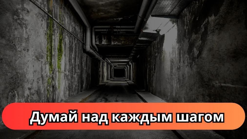 地堡生存任务官方安卓版  v3.3.3