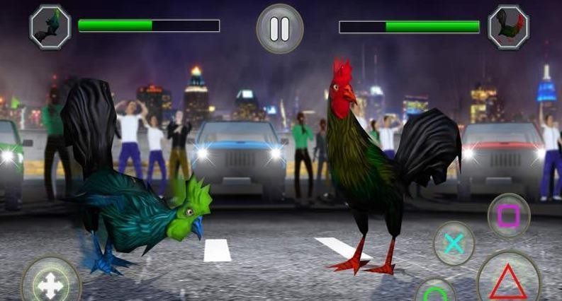 功夫鸡战 2024-06-25 15:08