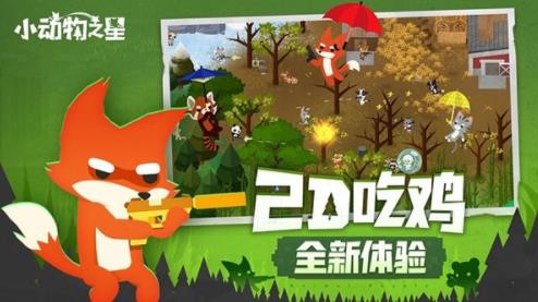 小动物之星2024截图2