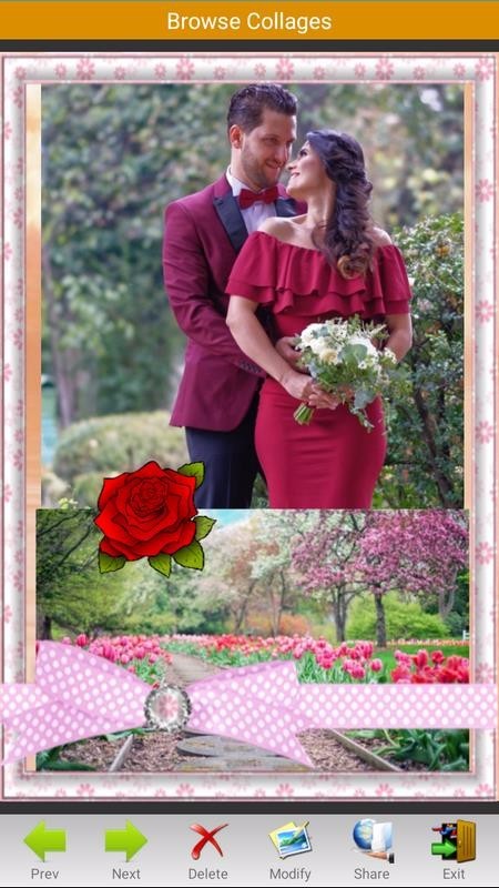 相片拼贴 2020-05-09 17:28