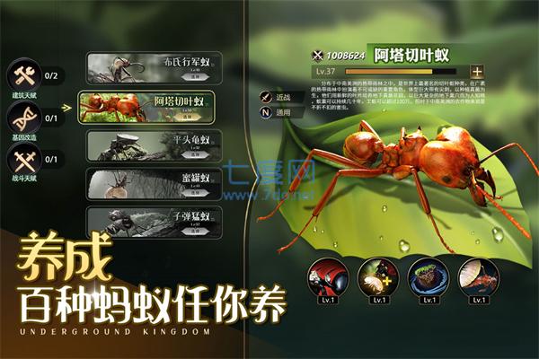 小小蚁国最新版截图0