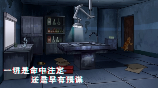 密室与猫.jpg