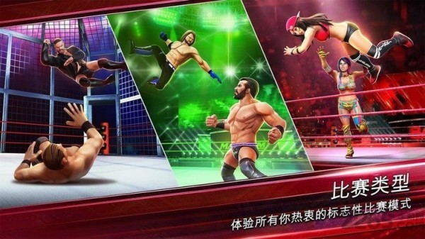 wwe美国职业摔跤.jpg