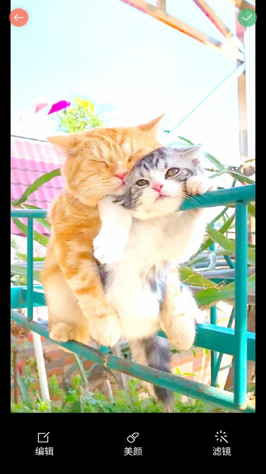 安果美颜相机  v1.0.0