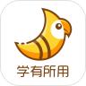 斑鸠职业