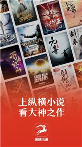 纵横小说朗读