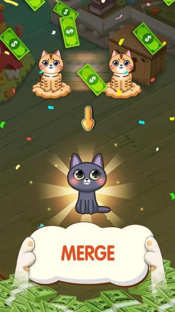 xiaomaojiet.jpg