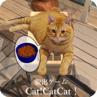 逃脱游戏猫空间