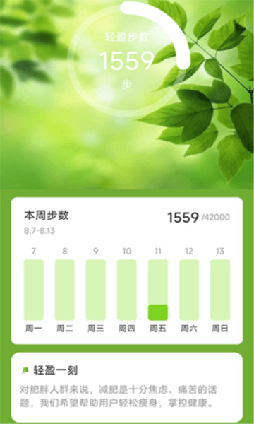 轻盈计步截图2