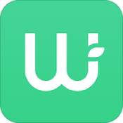 Wellios版