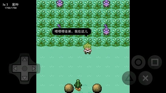 口袋妖怪污浊  v0.12