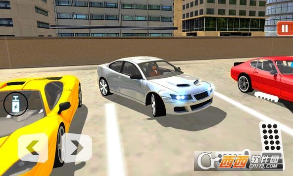 Parking Man 2019(停车达人2019) v1.0 安卓版