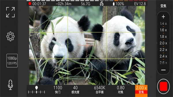 ProMovie专业摄像机免费版截图2