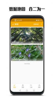 数图田调  v2.8.4