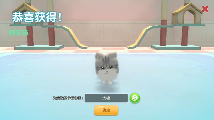 养了个猫(樱花小镇)游戏中文联机版图片1