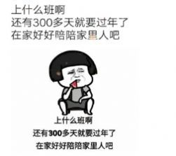 上什么班啊还有300多天就过年了表情包截图0