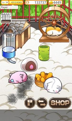 仓鼠的日常 免费版截图0