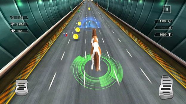 无尽公路动物赛跑.jpg