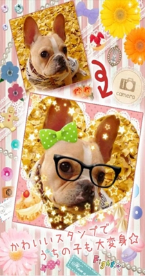 大头贴相机 2.1.9