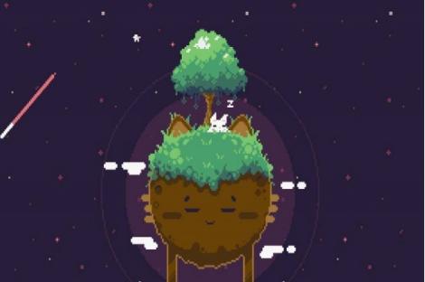 飞天萌猫