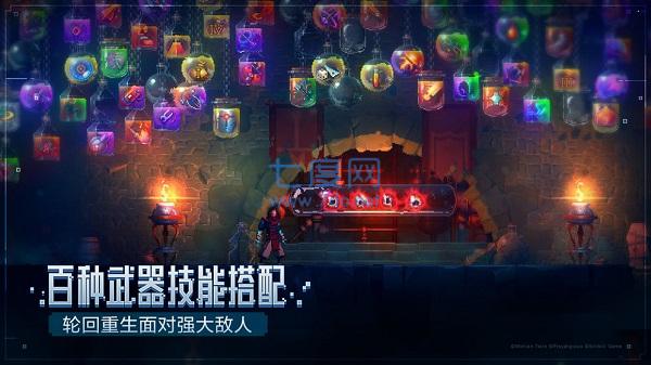 重生细胞国际服破解版截图2