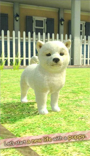 和我的狗在一起截图1