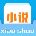 左右班子小说