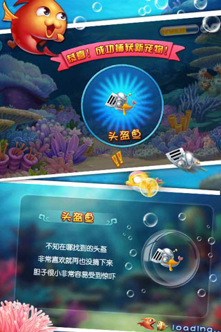 大鱼吃小鱼3截图1