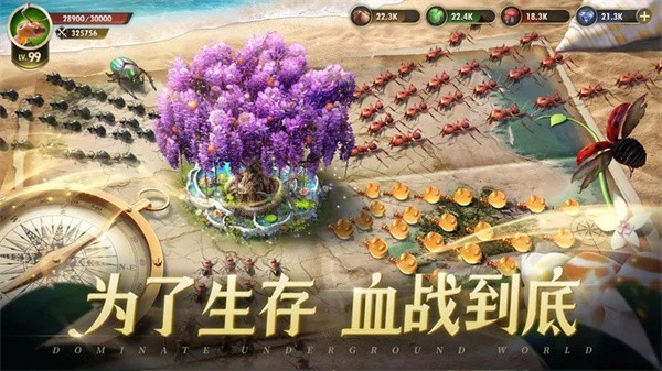 小小蚁国官方正版  v1.82.0