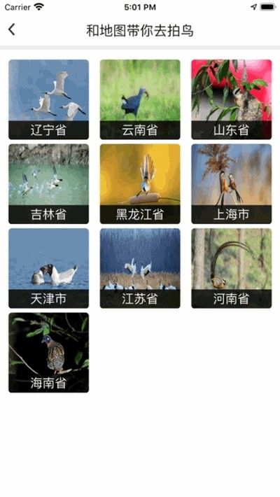 和地图鸟网