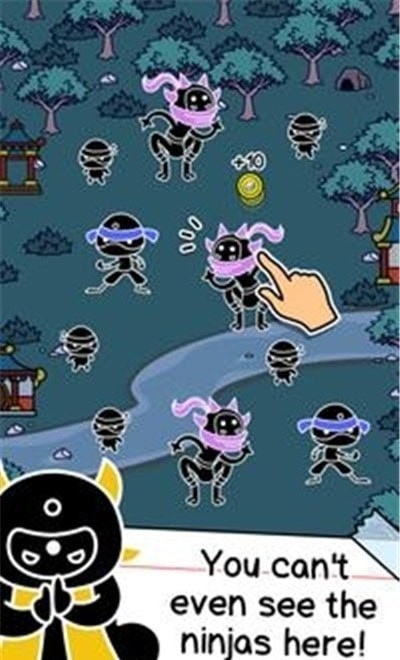 Ninja Evo
