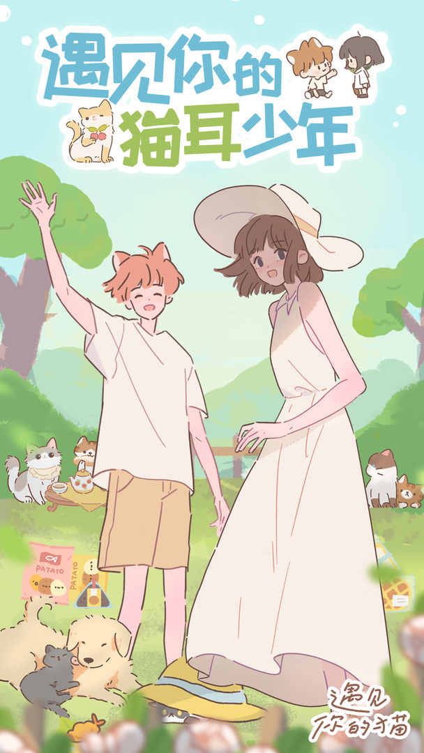 遇见你的猫正版