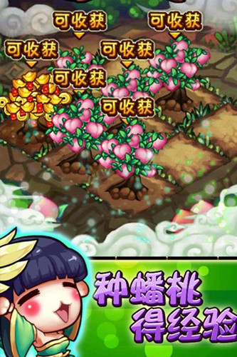 雷鸣三国