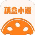 藕盒小说