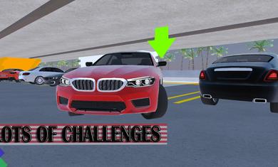 多人汽车驾驶模拟2020 v6.0