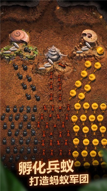 小小蚂蚁  v21.434.0