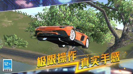 疯狂赛车模拟截图0