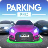 Parking Pro(停车场专家)