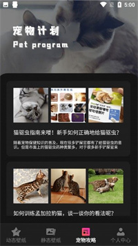 猫咪壁纸.jpg
