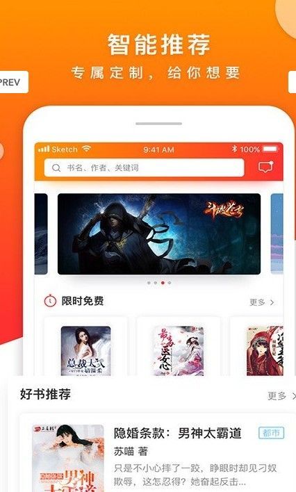 仕途小说