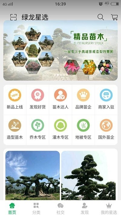 重点林木客户端截图2