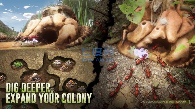 蚂蚁军团 v7.1.43