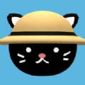 一只猫咪的故事最新版