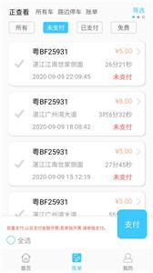 智优停路边停车